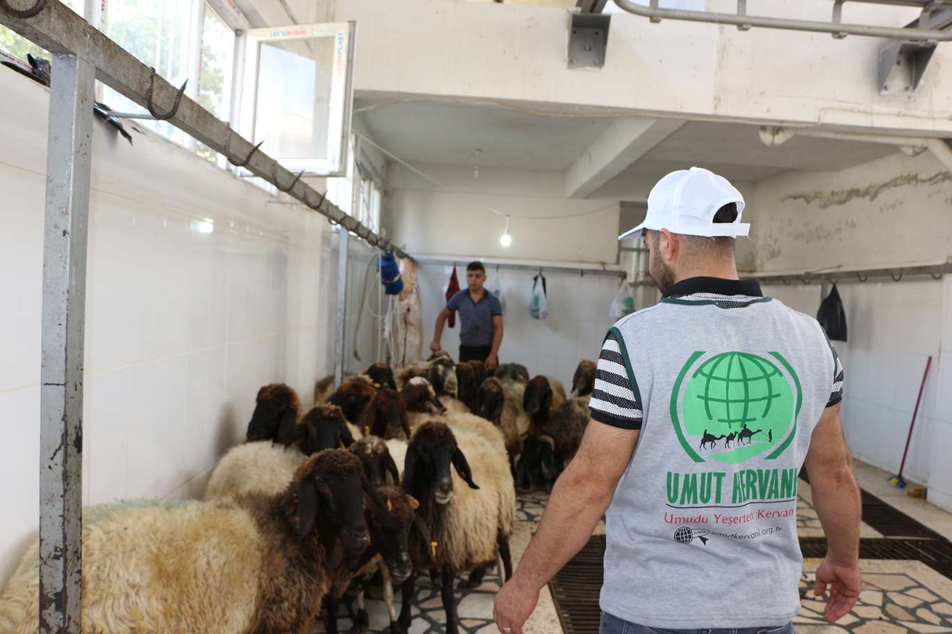 Siirt Umut Kervanı Derneği 200 aileye kurban eti dağıttı Siirt Umut Kervanı Derneği 200 aileye kurban eti dağıttı